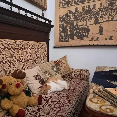Casa Cositorarului Boutique Pensionat Sighişoara